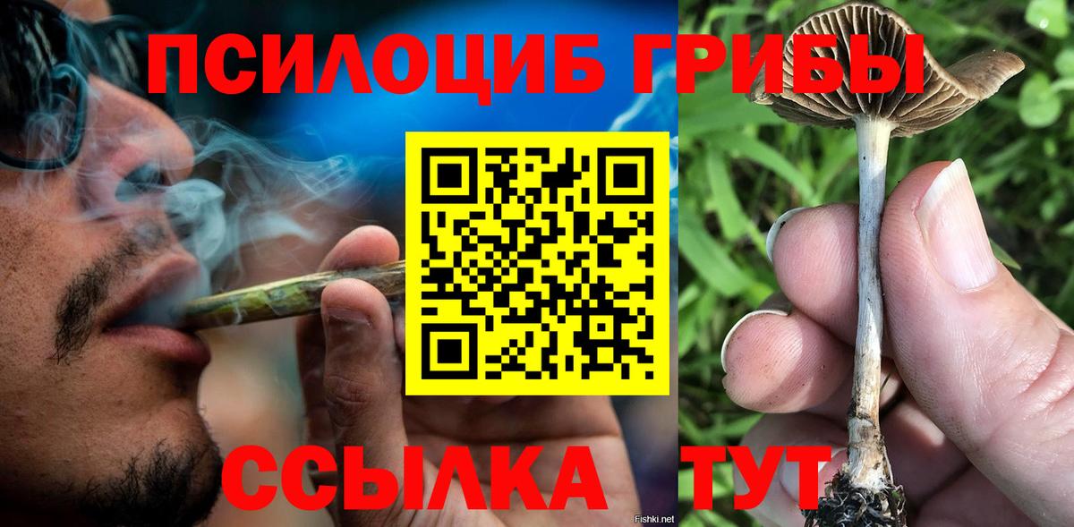 Кохма  Псилоцибиновые грибы Psilocybine cubensis  Вход с VPN  Псилоцибиновые грибы Psilocybine cubensis 